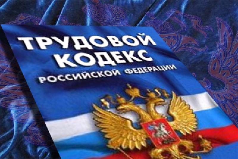 Директор ООО  СХП « Гремучка»  дисквалификации сроком на 1 год 