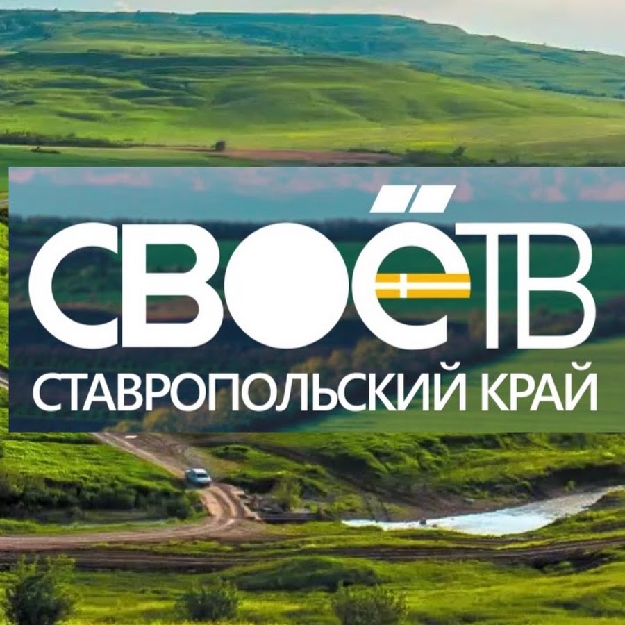 Выступление на телеканале "СвоеТВ"